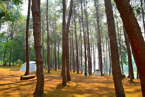 Comment se préparer à un camping en zone de typhons dans le Pacifique?